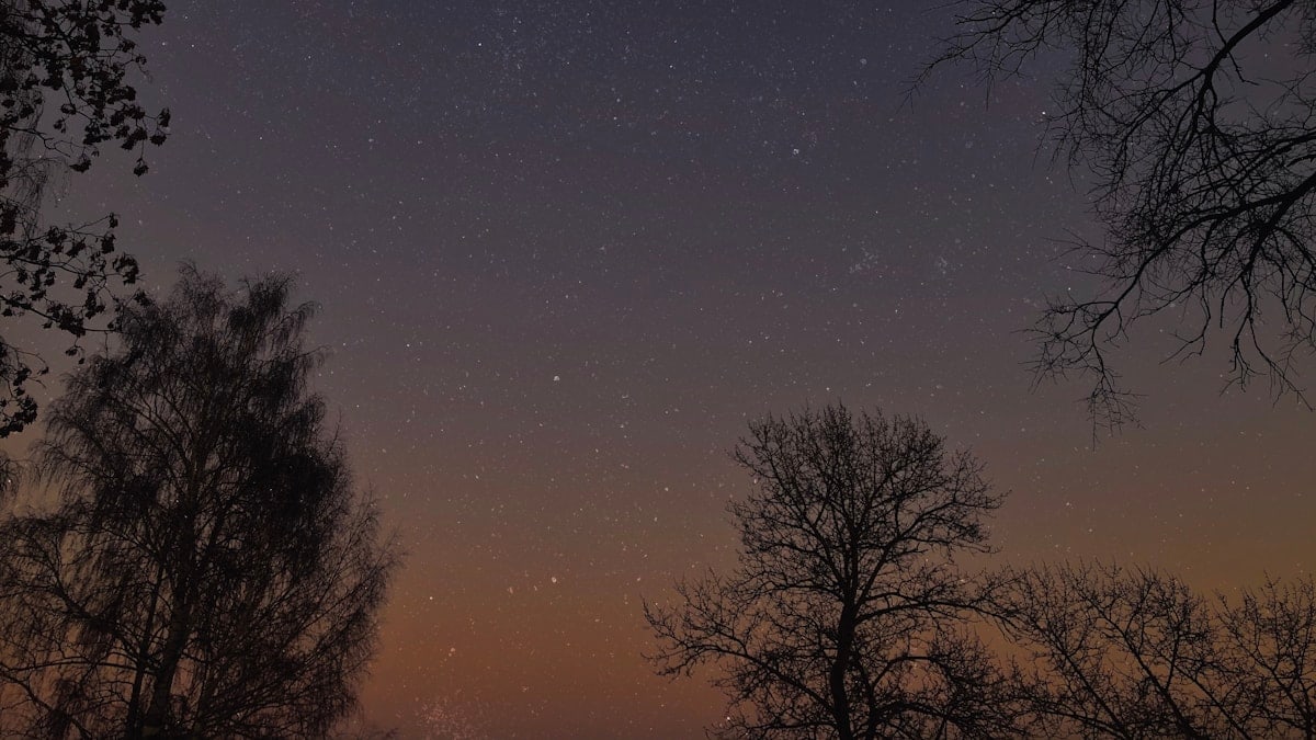 Liikumise tähtsus igapäevaelus